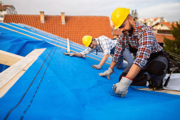 Professional Roofing Contractor in Fredonia, WI